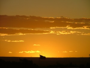 DSCF8821